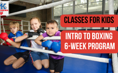 Intro To Boxing classes for Kids (Gr 1-3) and Teenage (Gr 4-10)