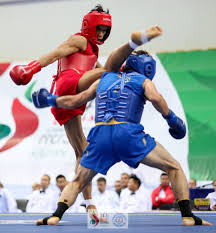 sanda sport